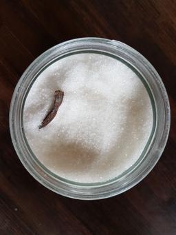 A jar of sugar with a vanilla pod.