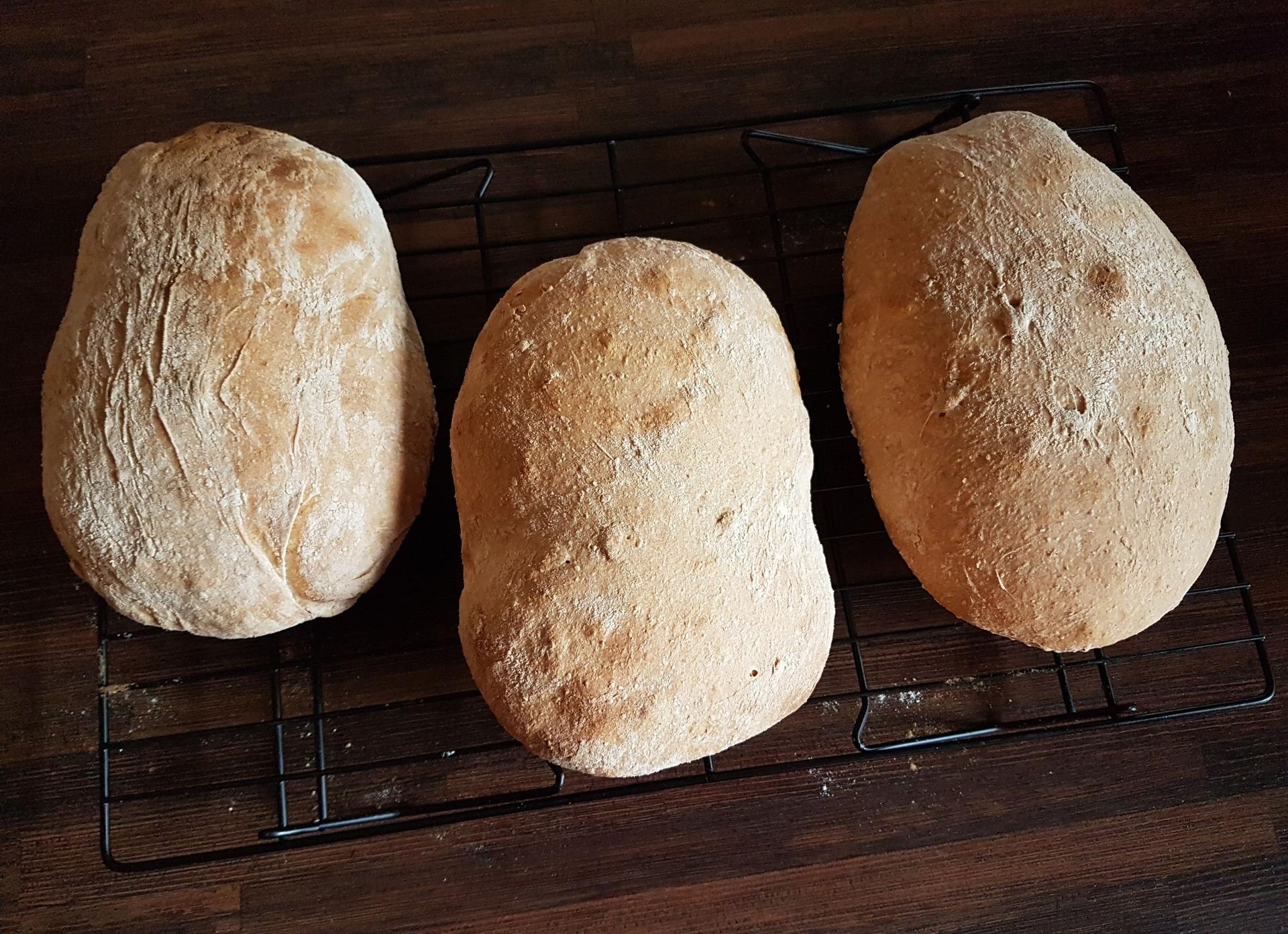 Three freshly baked loaves of bread sitting on a cooling rack.