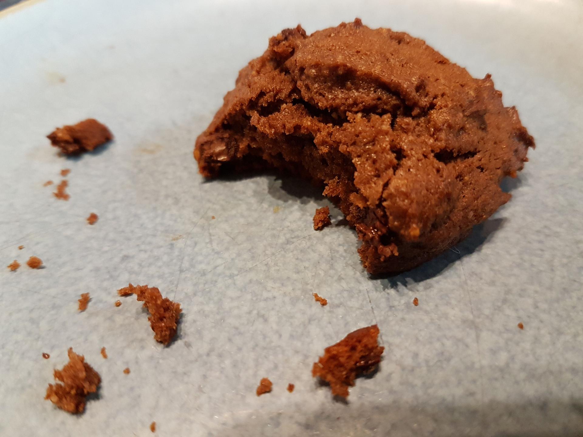 A stout cookie with a bite taken out and some crumbs. The photographer couldn't wait!